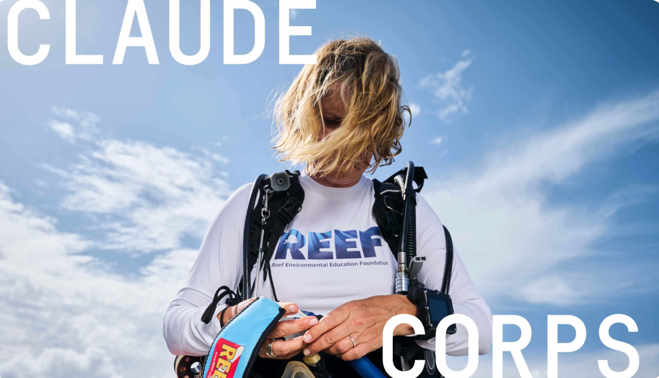 Anthropic commits $150m to Claude Corps AI fellowship program