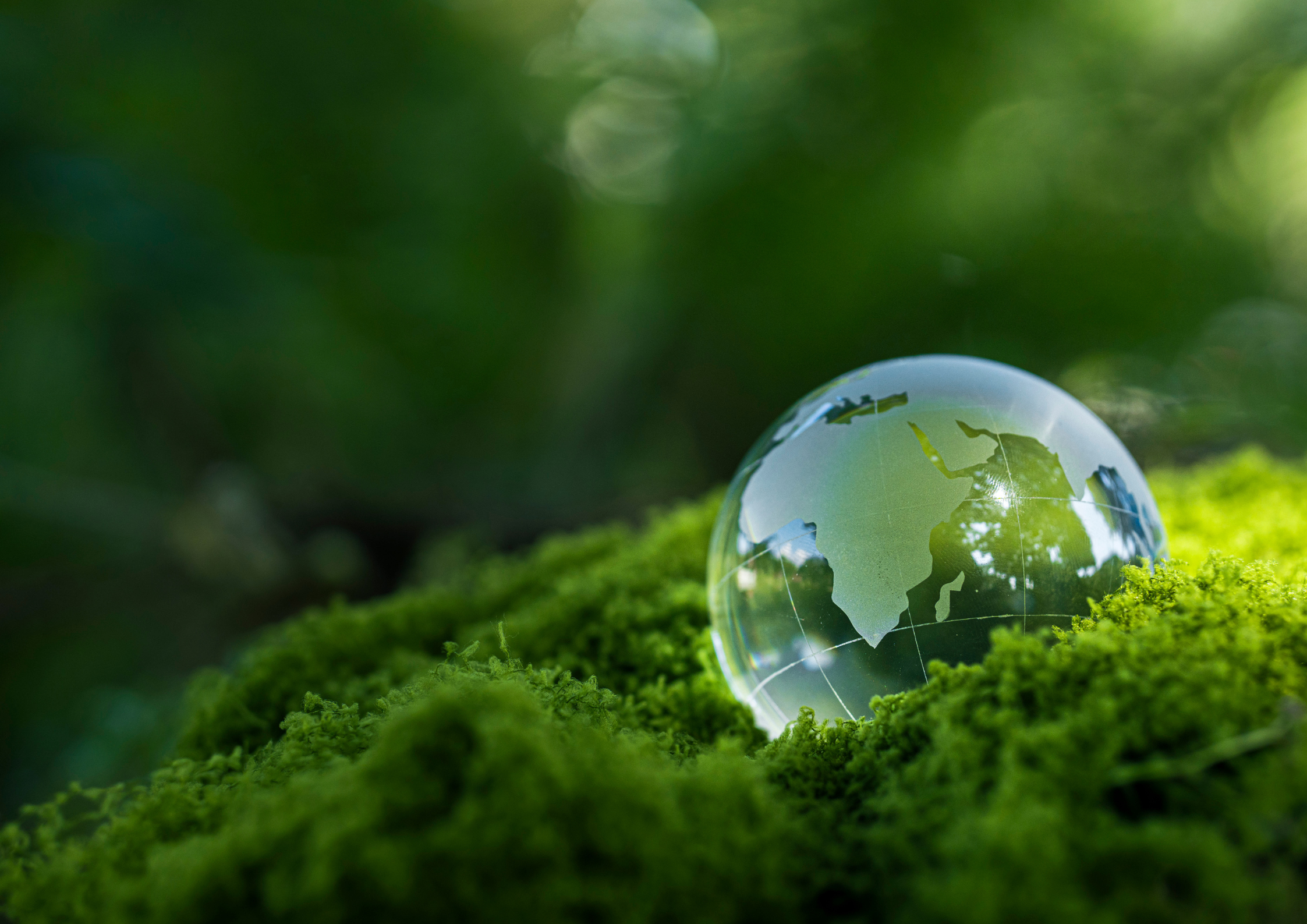 Google DeepMind opens APAC accelerator for AI climate teams