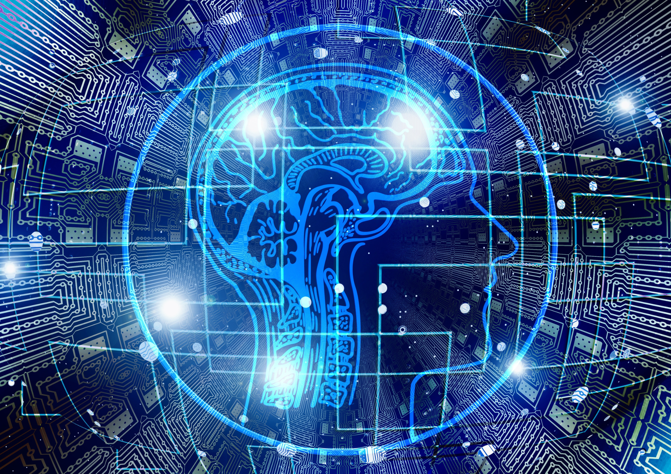 Rise Up CEO spins out AI startup Forge as enterprise learning model shifts