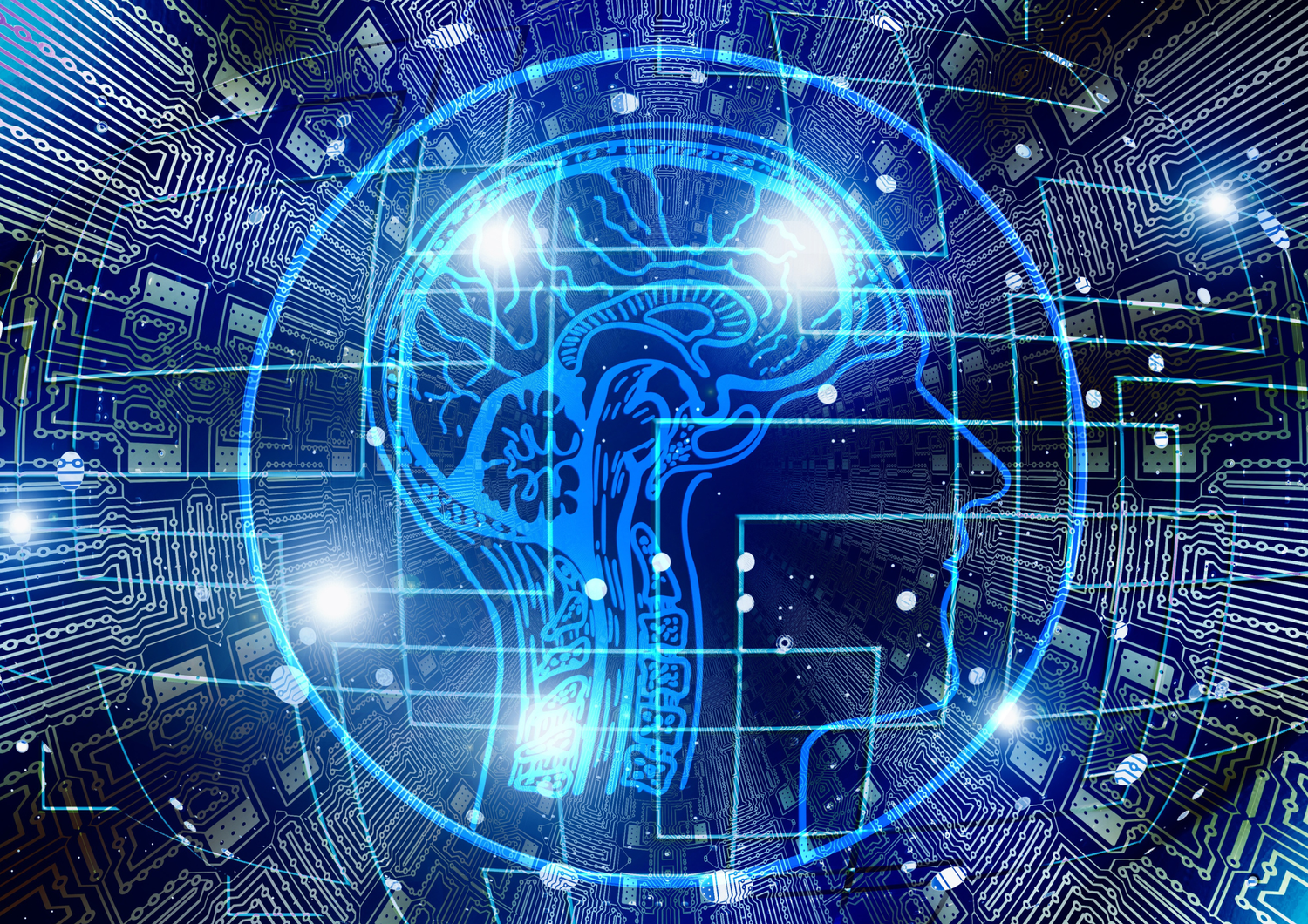 Rise Up CEO spins out AI startup Forge as enterprise learning model shifts