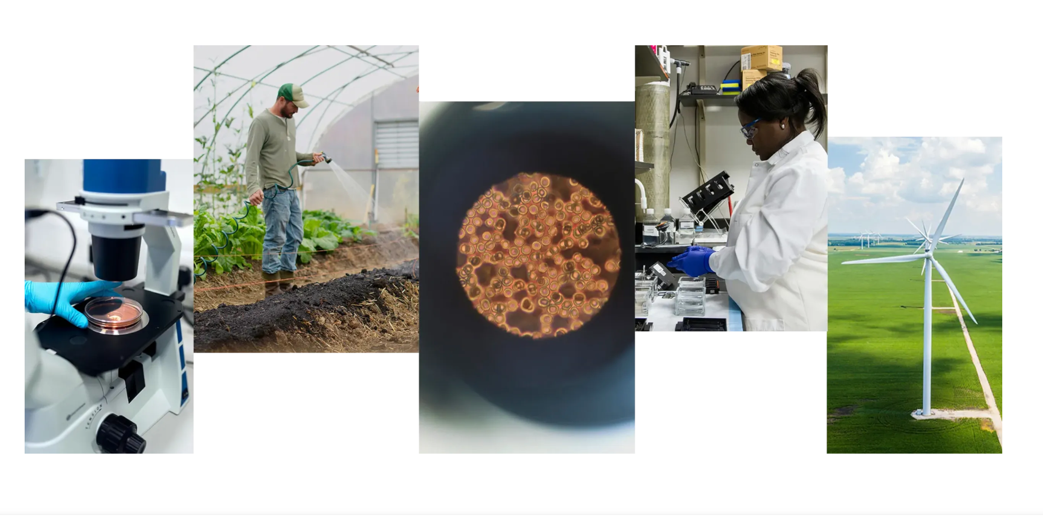 Google.org opens $30M AI for Science funding call with extended deadline