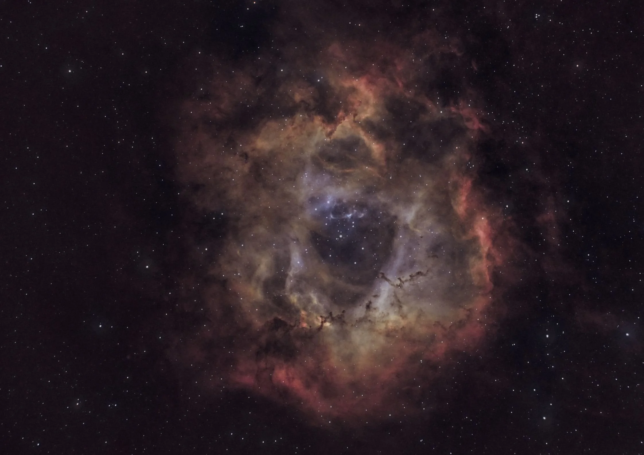 University of Texas astronomy students help locate unexpected black hole in nearby galaxy