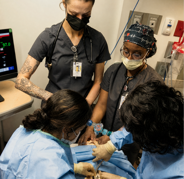 Workforce training platform Stepful announces acquisition of 45-year-old US-based nursing school