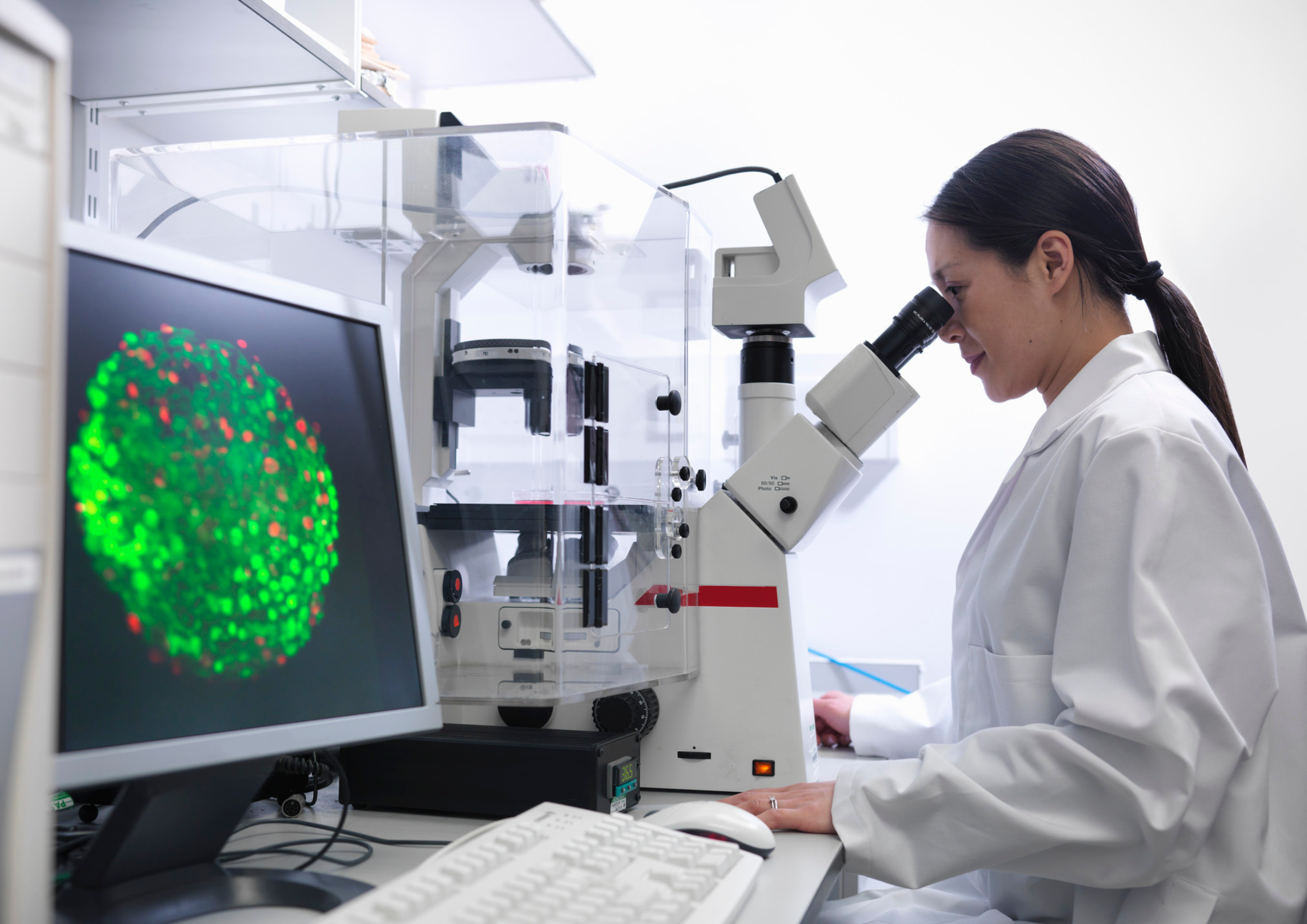 NSF awards 12 regional innovation engines $15 million each for technology and workforce growth