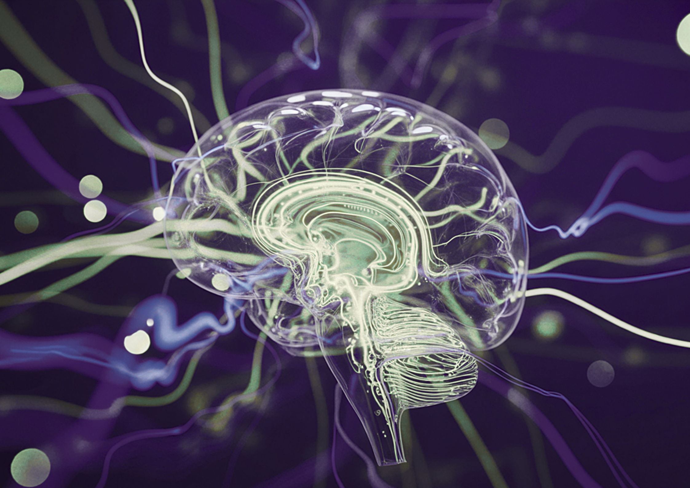 Stanford expands AI research repository for K–12 as evidence base grows