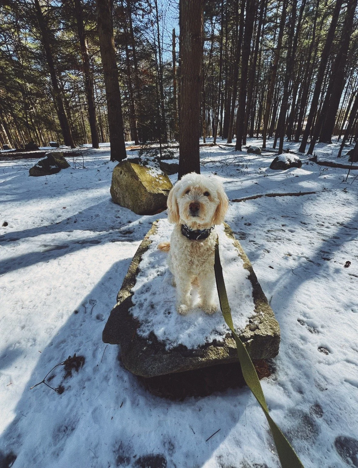 FullSizeRender_VSCO 4.JPG