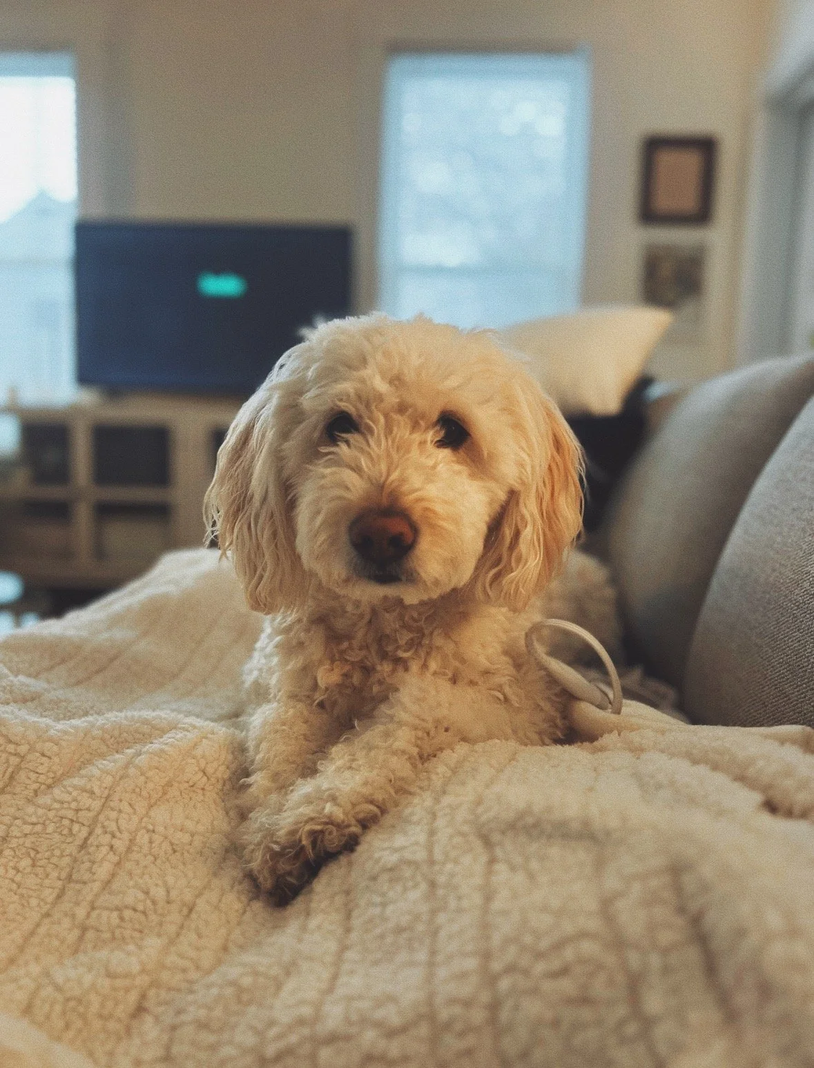 FullSizeRender_VSCO 5.JPG