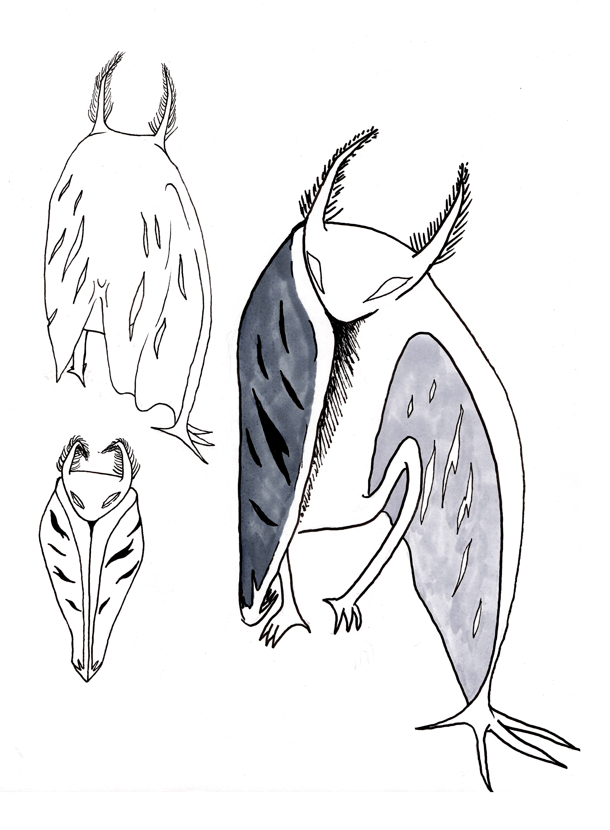 Mothman3.png