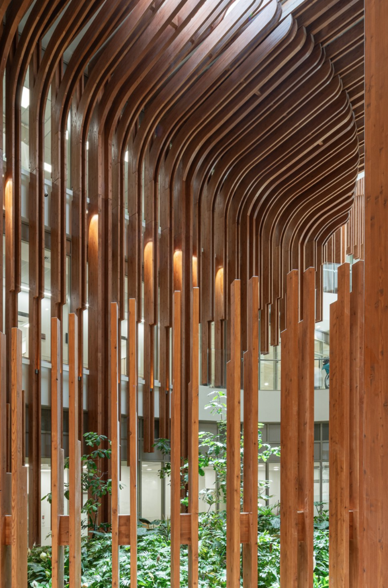 Striking vertical timber elements extend from floor to ceiling inside the Helmsley Cancer Center, with indoor plantings reinforcing a natural, restorative atmosphere.