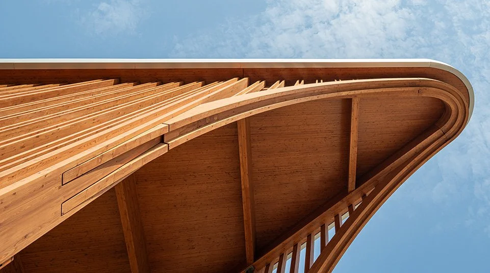 Close-up of the Helmsley Cancer Center’s sweeping timber roof structure curving upward against a blue sky, illustrating fluid, biophilic design.