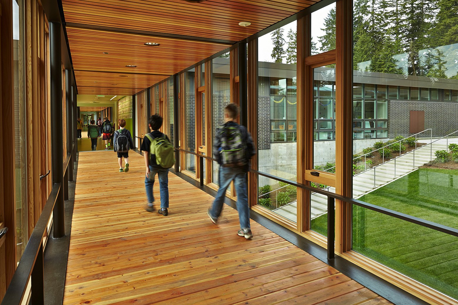 Biophilic design in schools — Dayhouse Studio