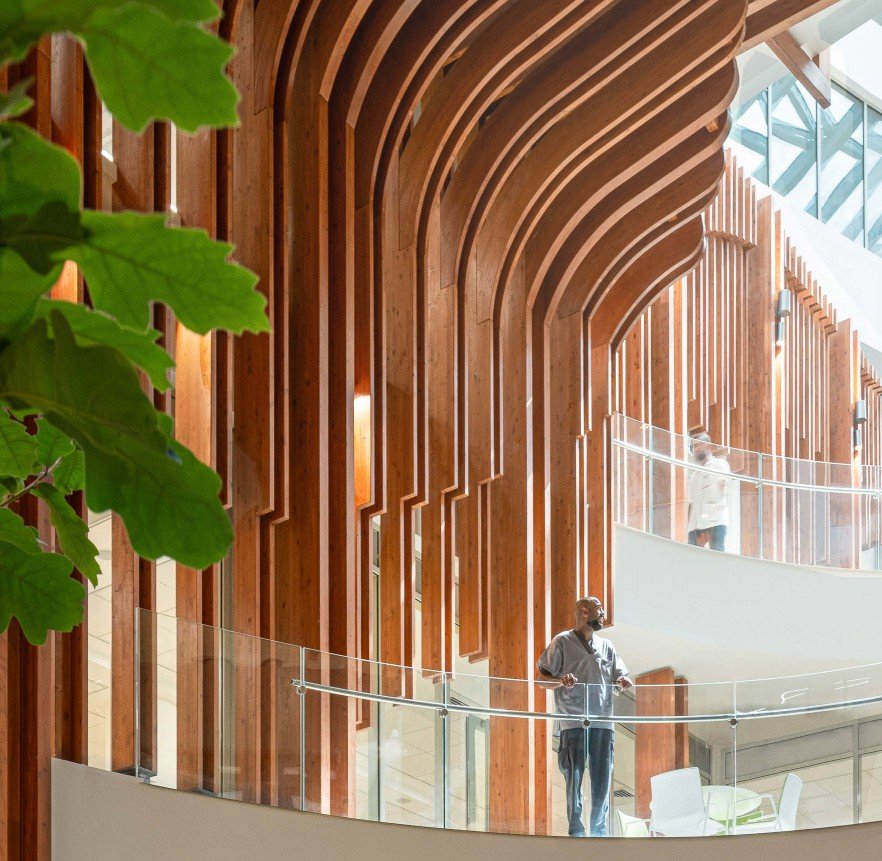 Person walking through the Helmsley Cancer Center’s curved walkway under tall wood-paneled walls, enveloped in warm light and vertical rhythm.