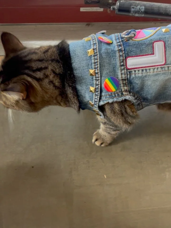 Harriet loves her new jacket from @punkybutt_threads !