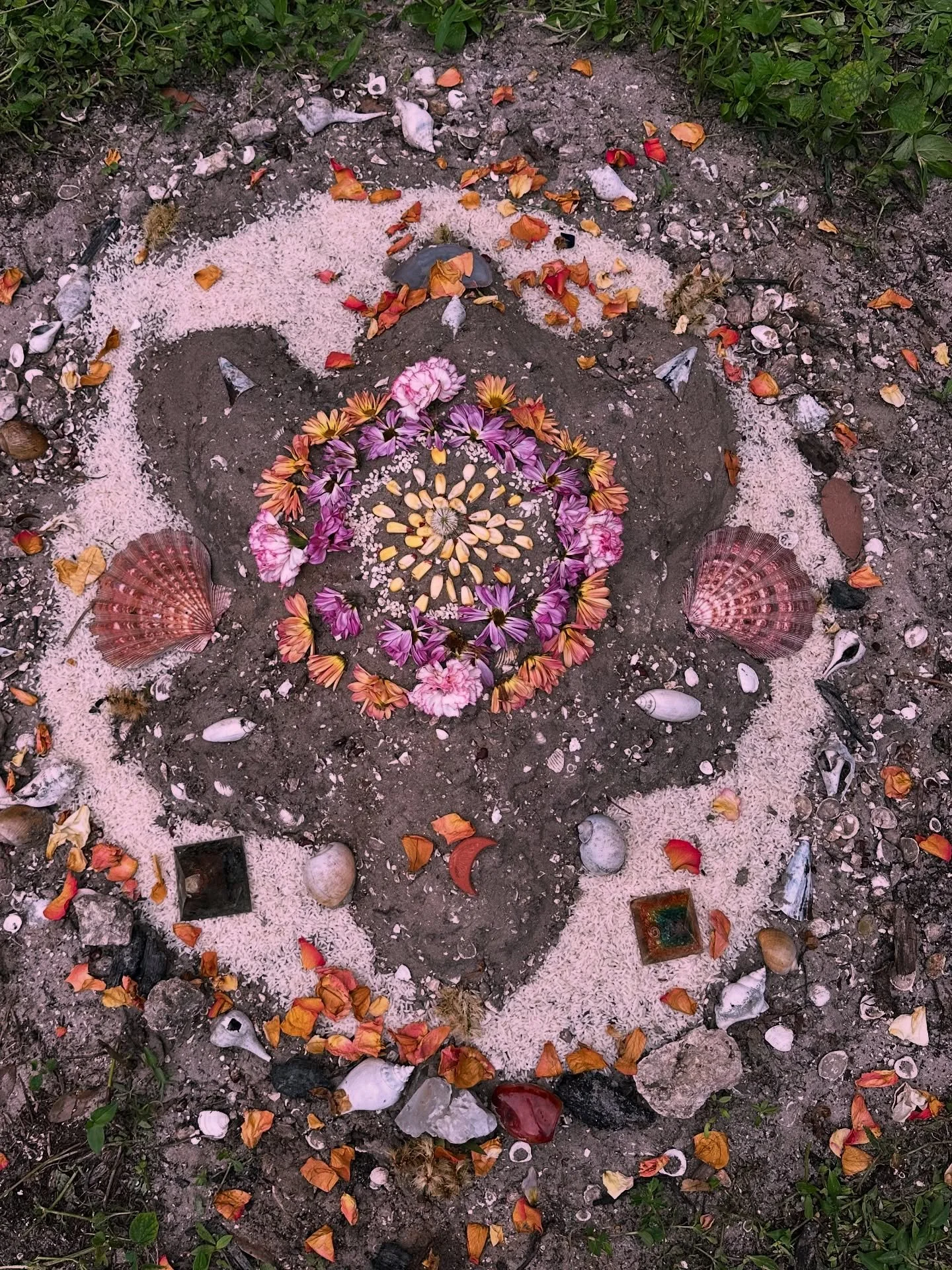 All of life begins here.
On the shell that holds the story of creation. ✨

The land we walk on, 
the waters that flow, 
the flowers that bloom &mdash;
All of it birthed from her vibration.

In the trecena of Xochitl, the Flower,
we decorate new life 