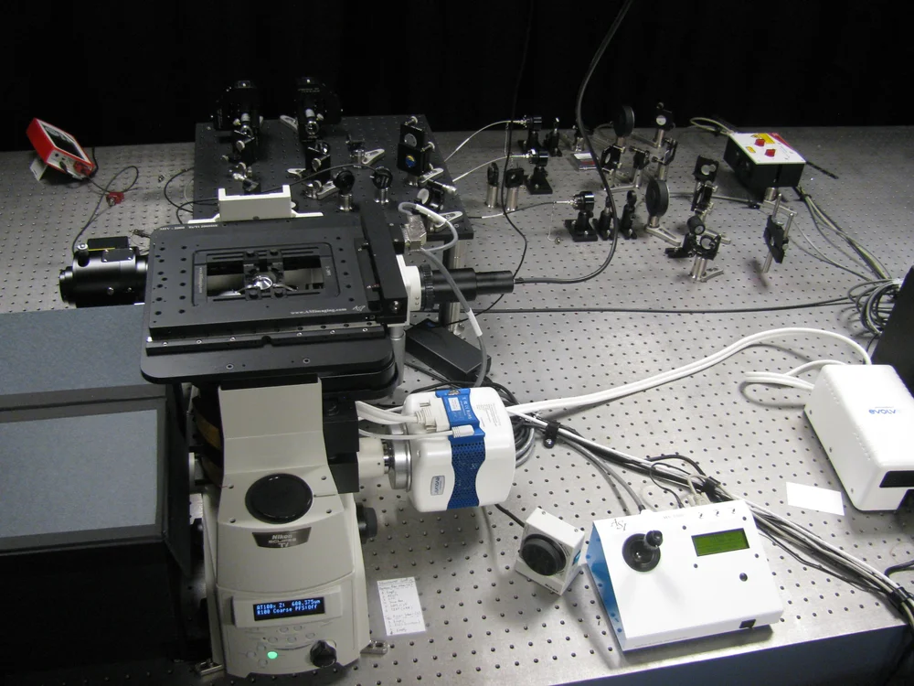Smith Lab