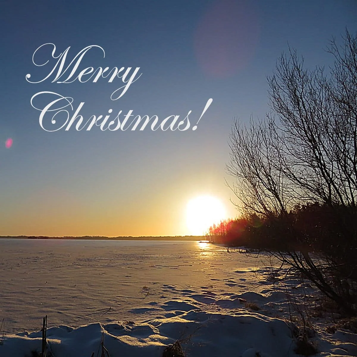 Merry Christmas and a Happy New Year 2026 from the LEAD! Foundation team!

#lead2026