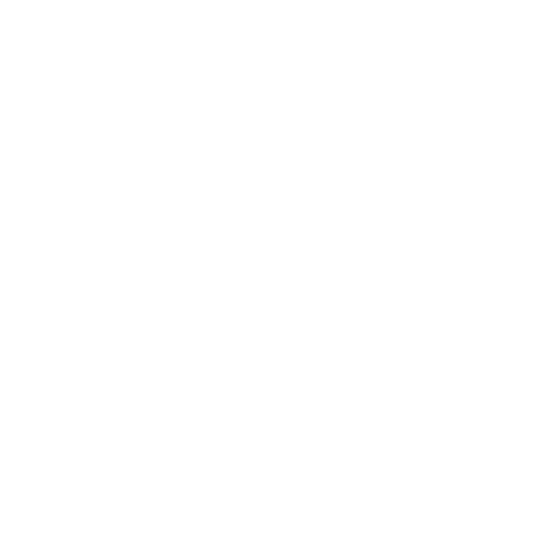 LB Web Couture