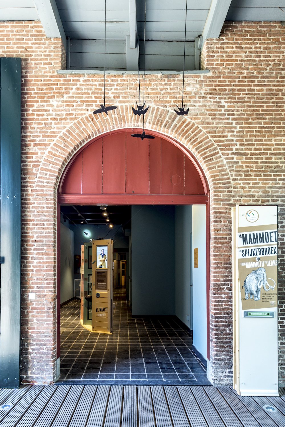 2022-Terra-Maris-van-Mammoet-tot-Spijkerbroek-5961.jpg