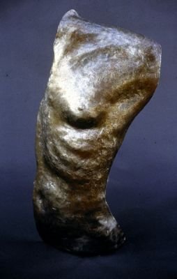 TORSO
forged steel
24" x 12" x 6"