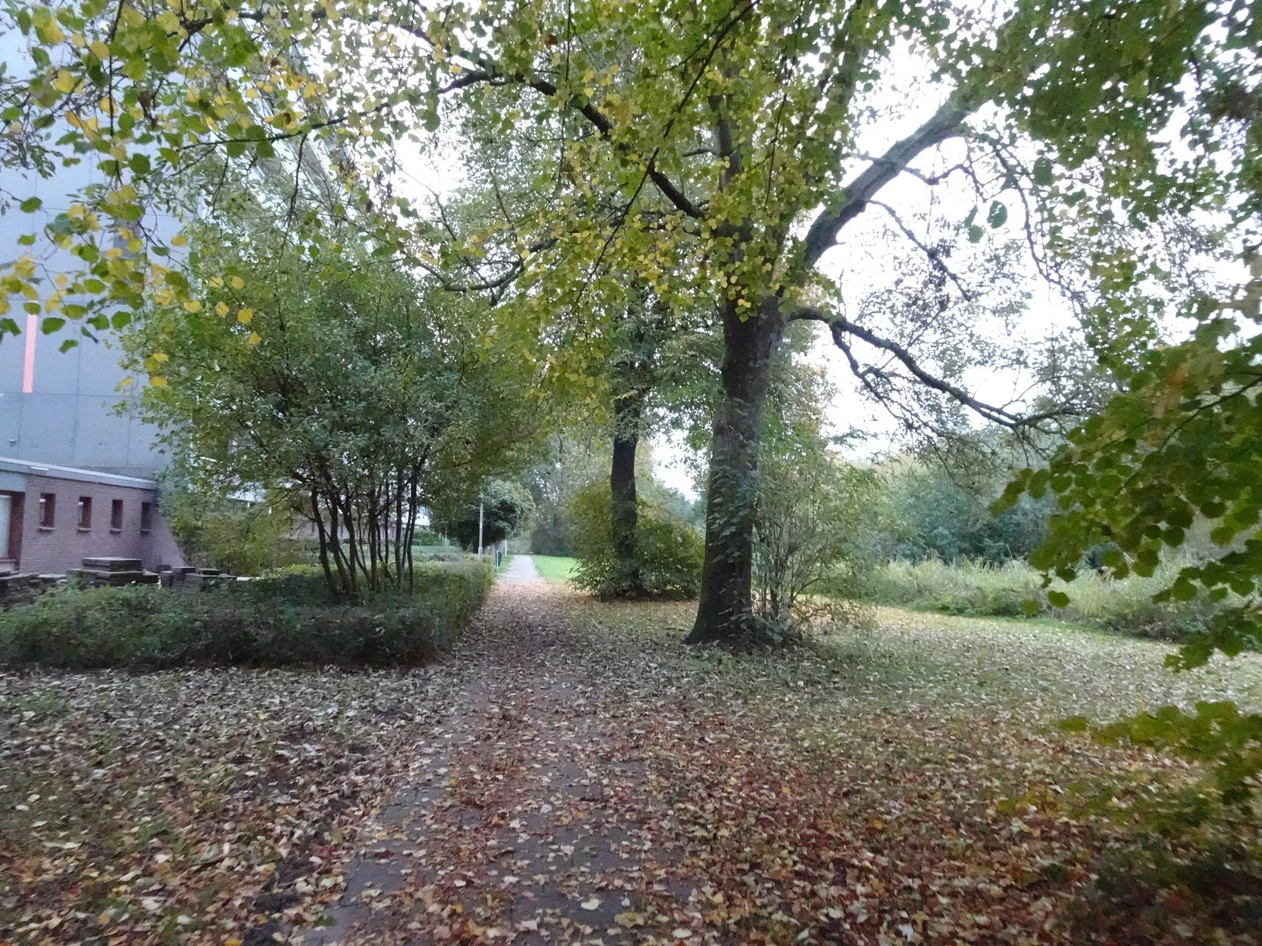 Gorinchem (3).JPG
