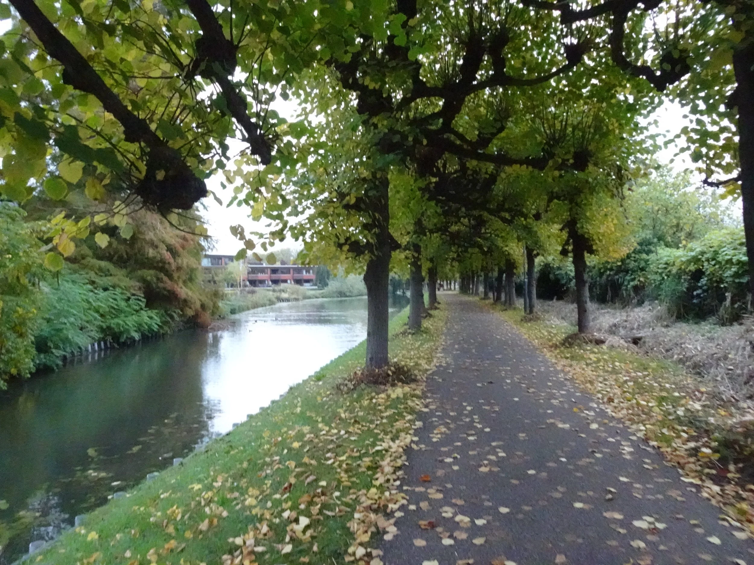 Gorinchem (5).JPG