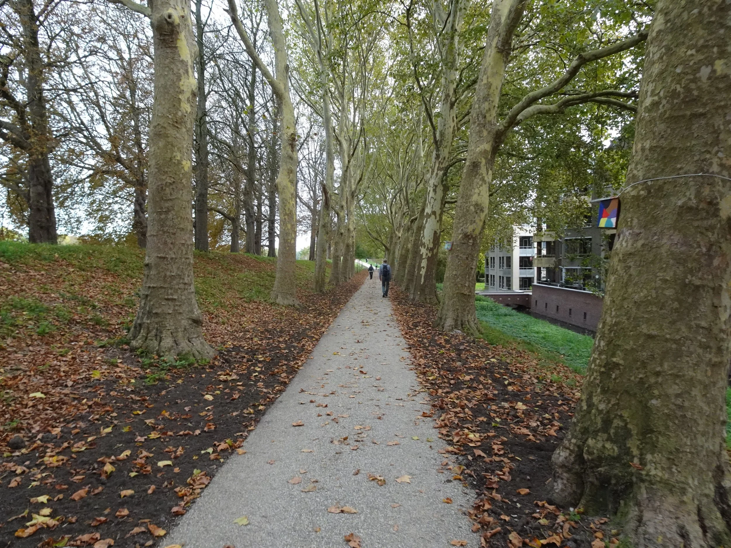 Gorinchem (14).JPG