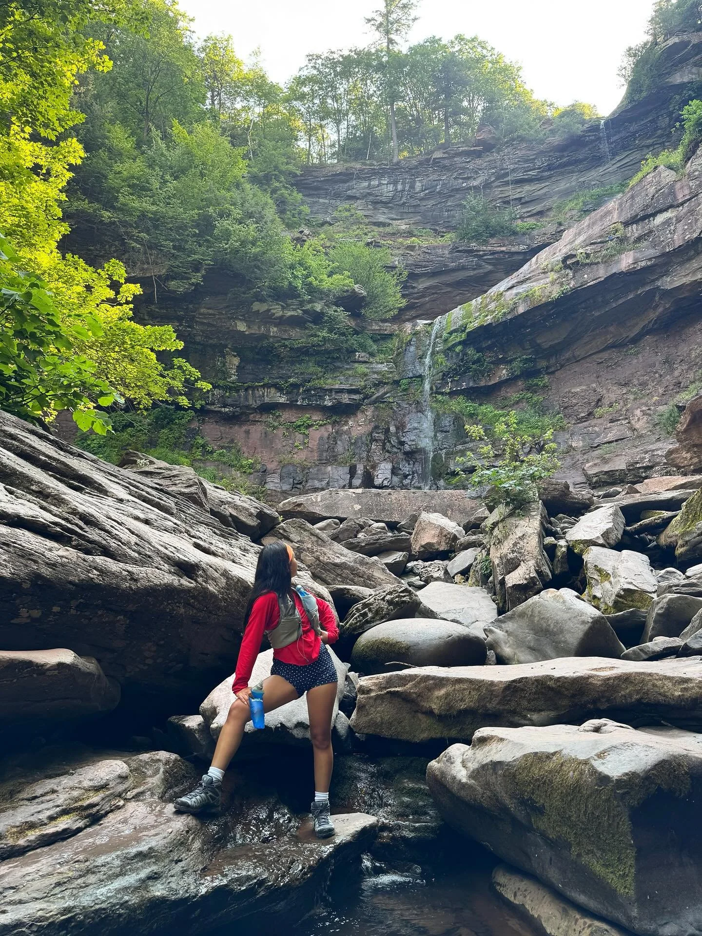 🍄