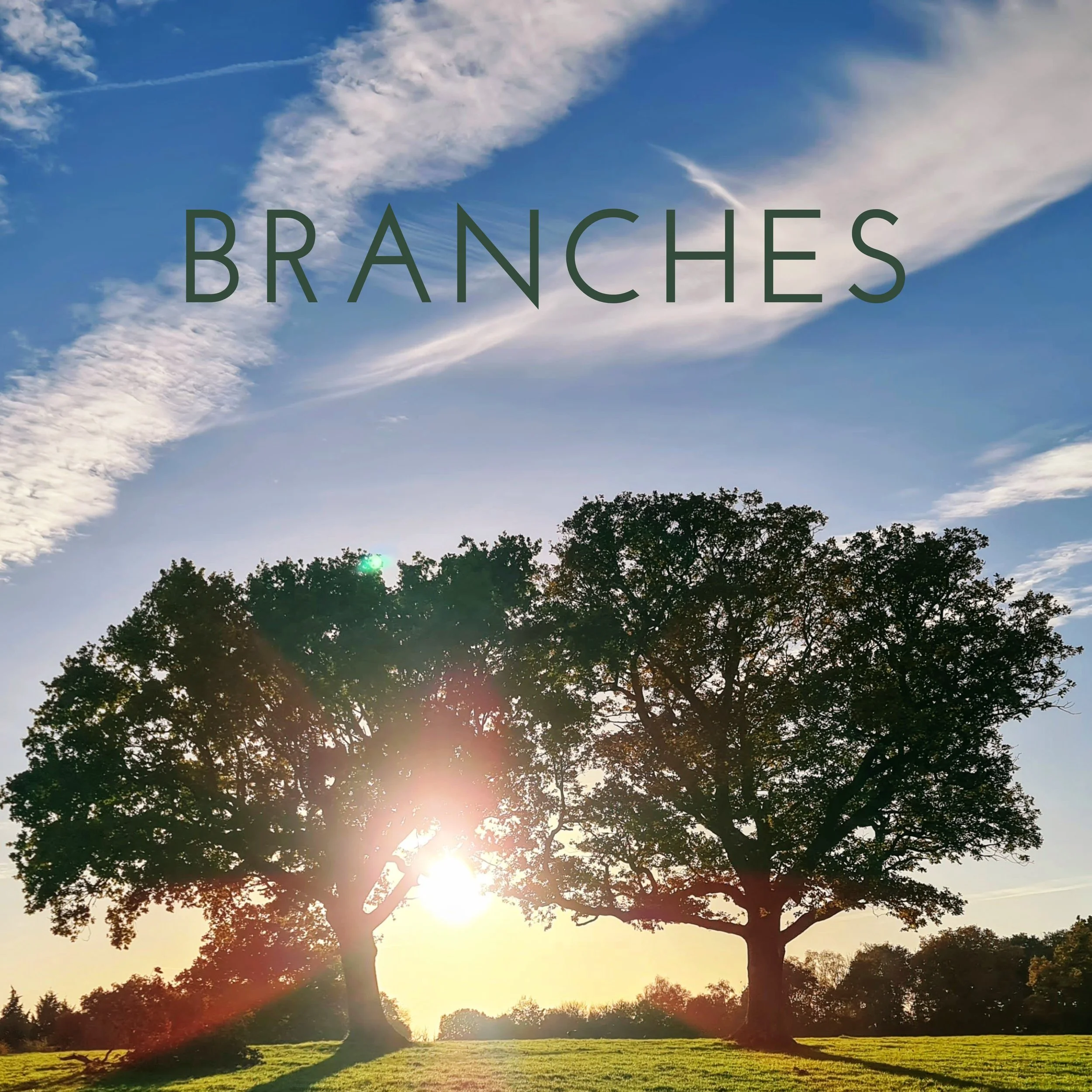 Branches Album