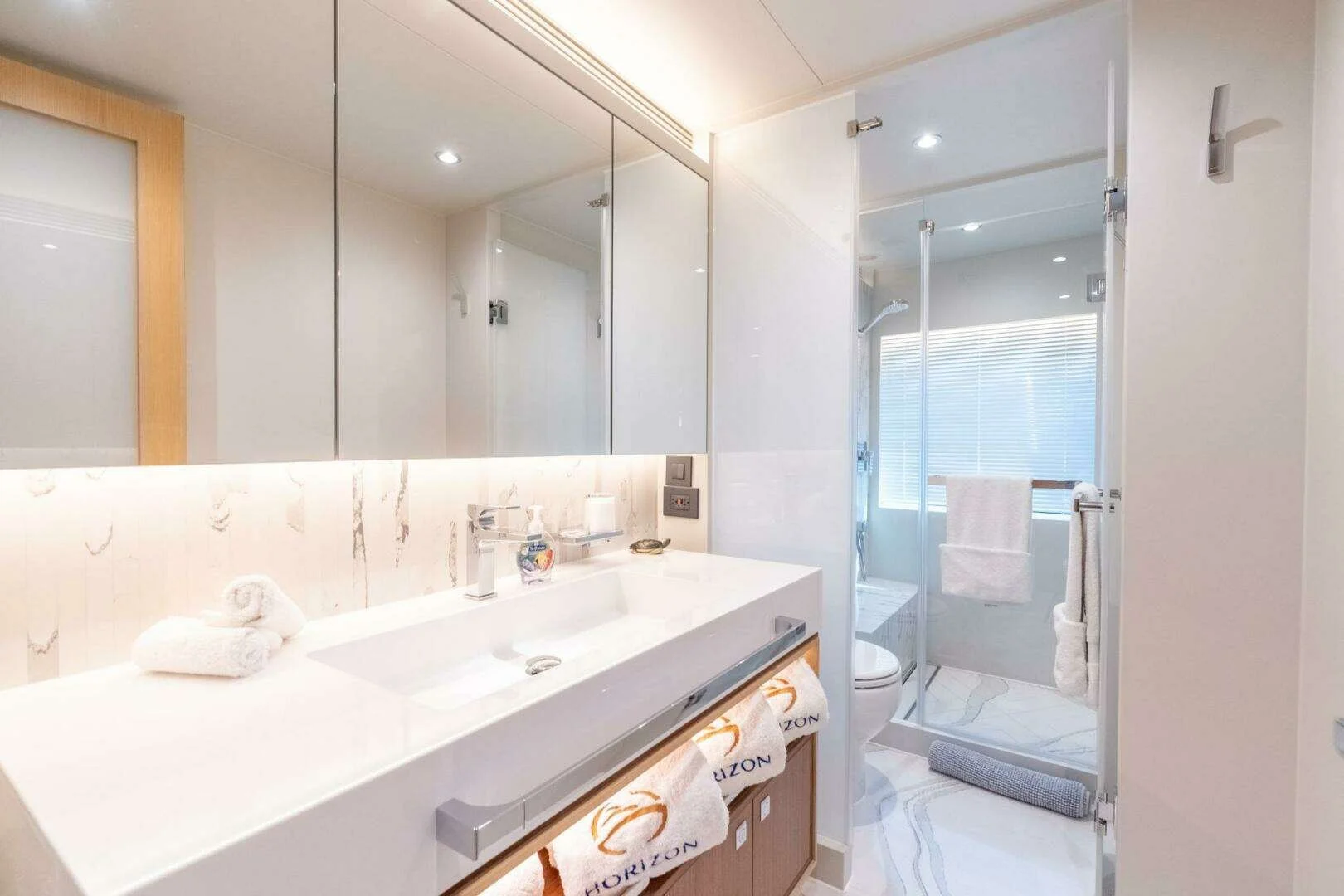 Horizon FD80 (7).jpeg