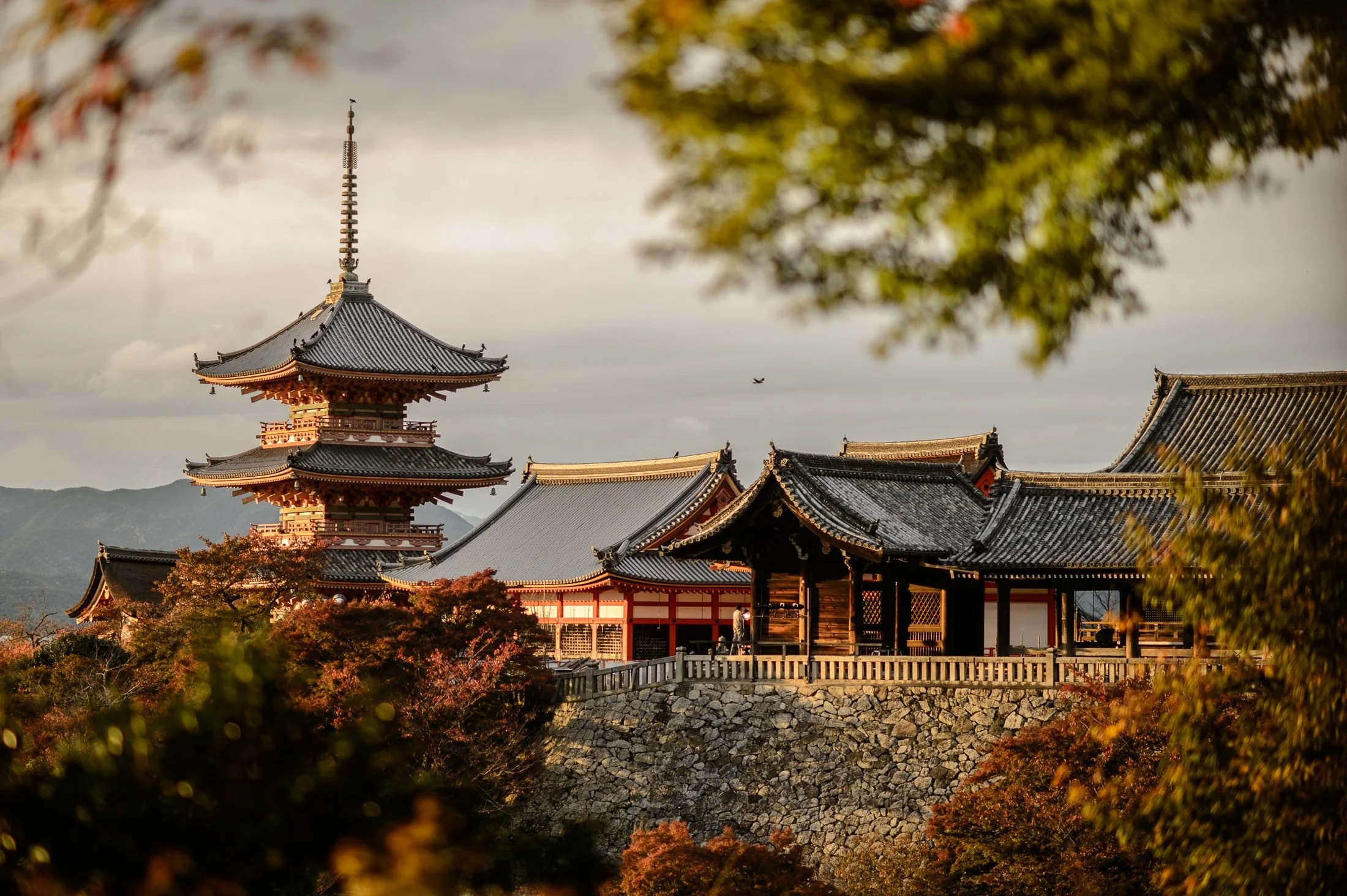 Kyoto – The Sanctuary of Timeless Wisdom