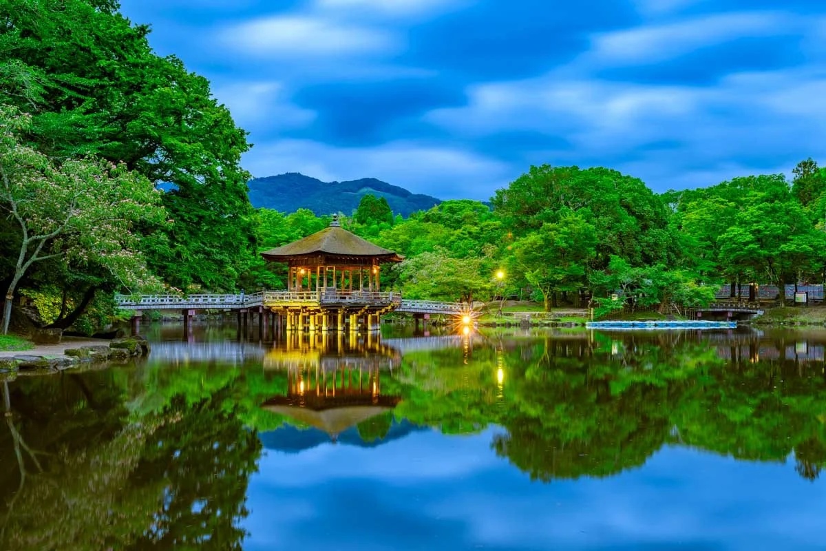 Nara-Park-seen-in-the-evening-Nara-Japan.jpg