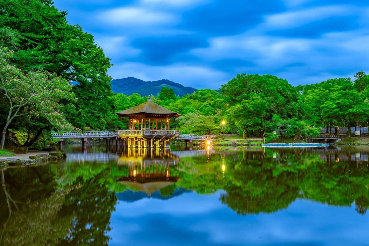Nara – Communion with Nature and Spirit