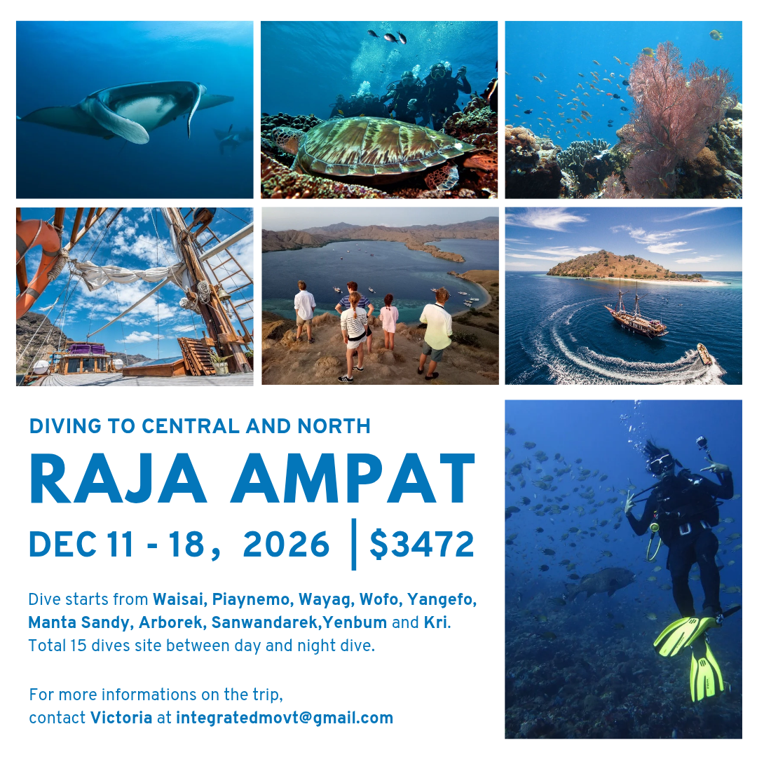 DIVING AT RAJA AMPAT - INDONESIA, 2026