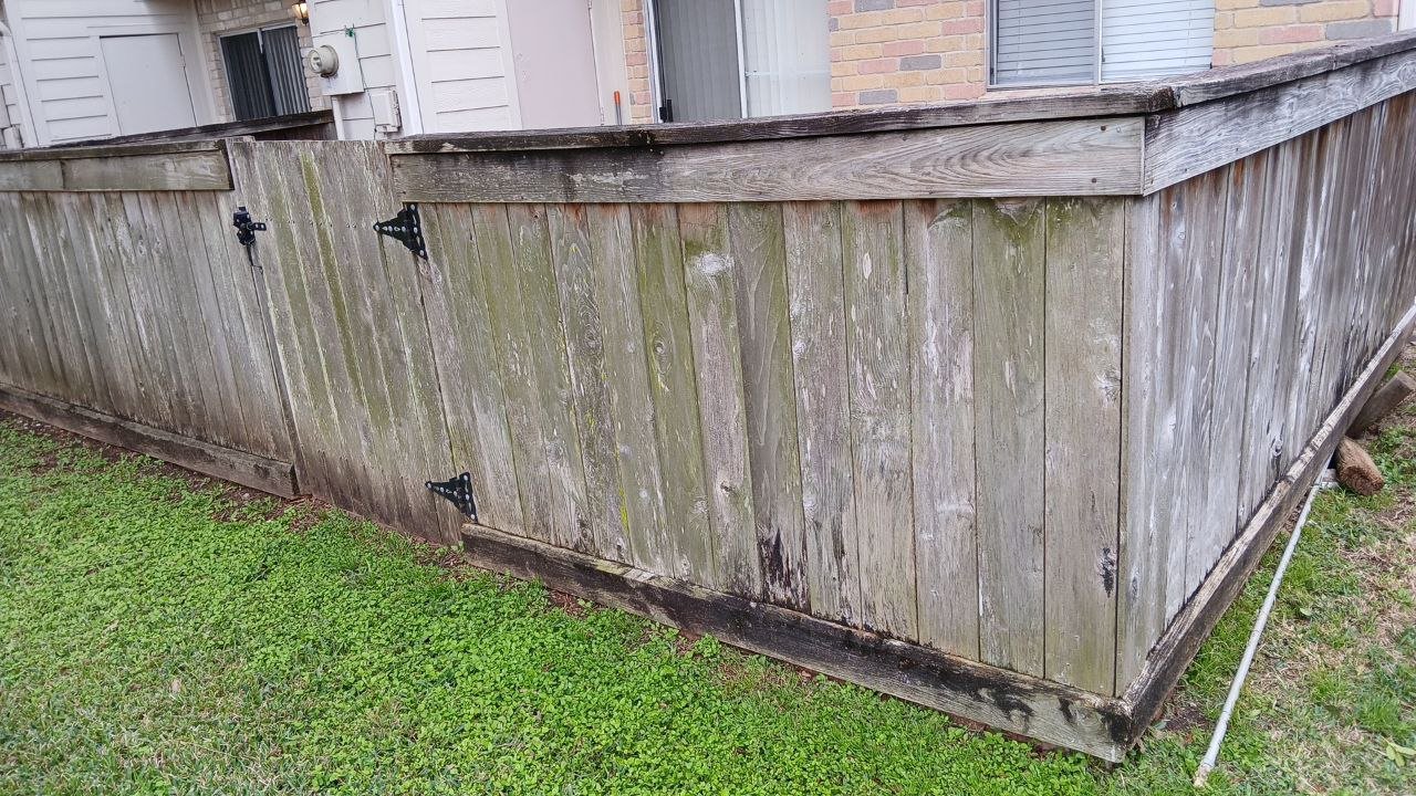 5019616416315321973 - copia.jpg