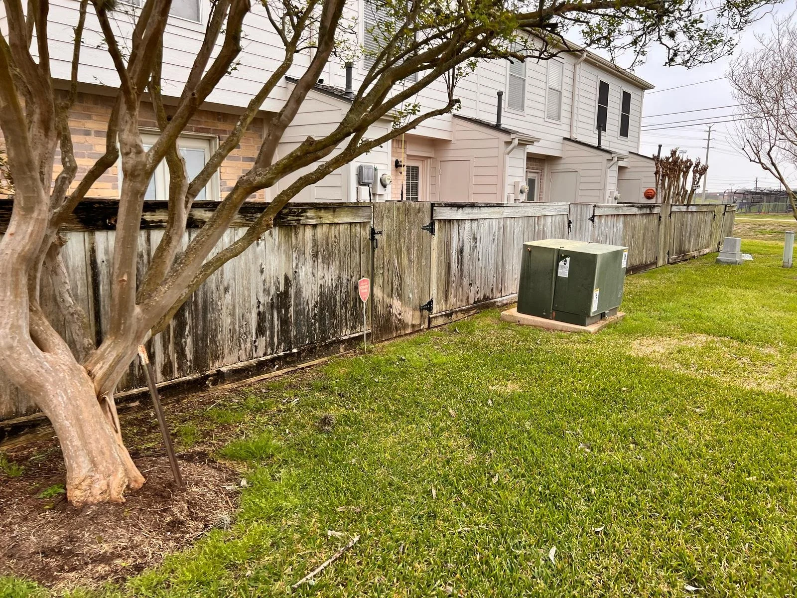 WhatsApp Image 2025-03-20 at 6.49.57 PM (9).jpeg