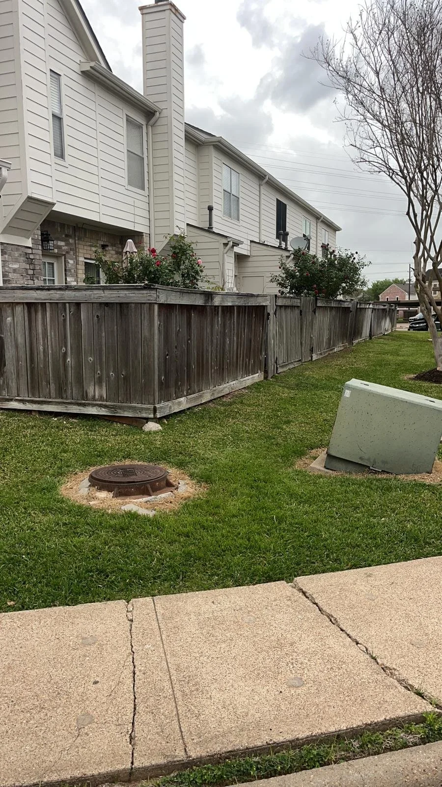 WhatsApp Image 2025-03-26 at 12.05.31 PM (1).jpeg