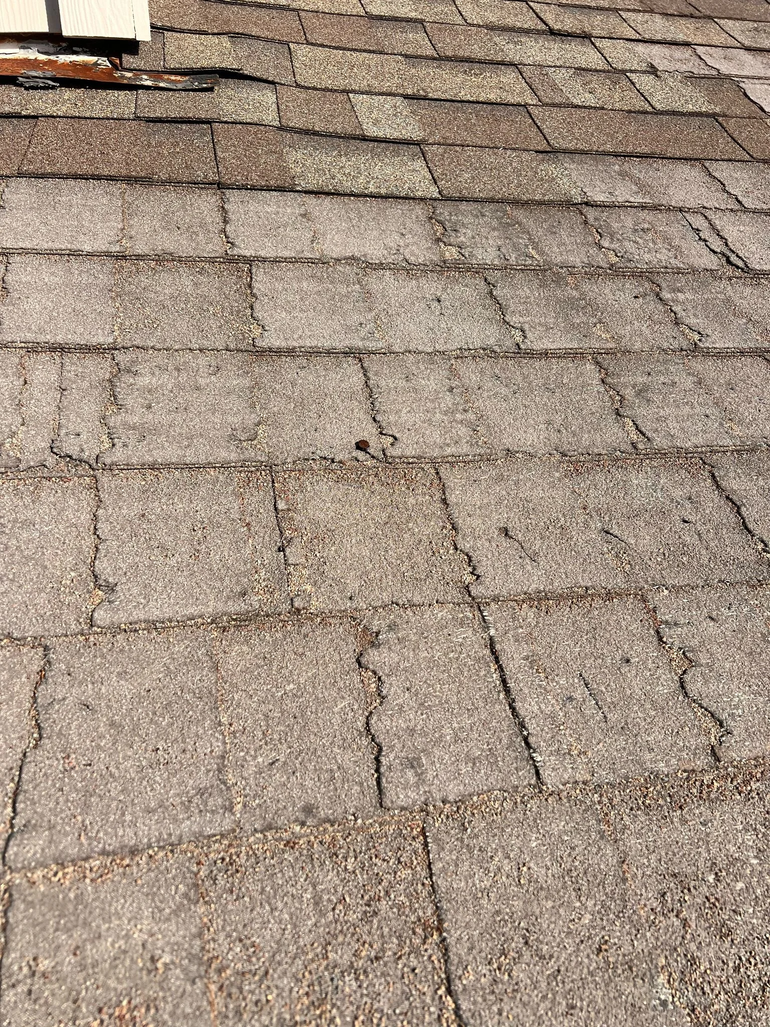 WhatsApp Image 2025-03-22 at 7.40.03 AM (5).jpeg