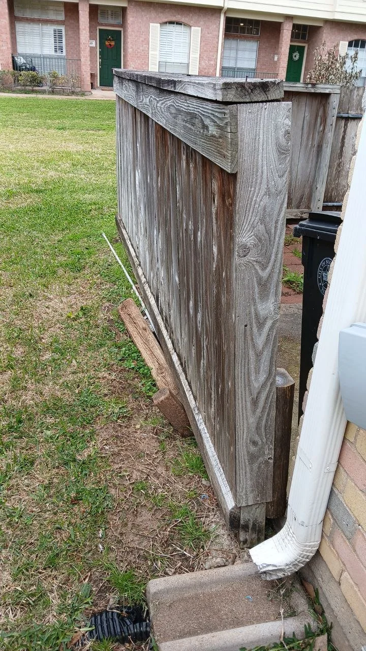 5019616416315321972 - copia.jpg