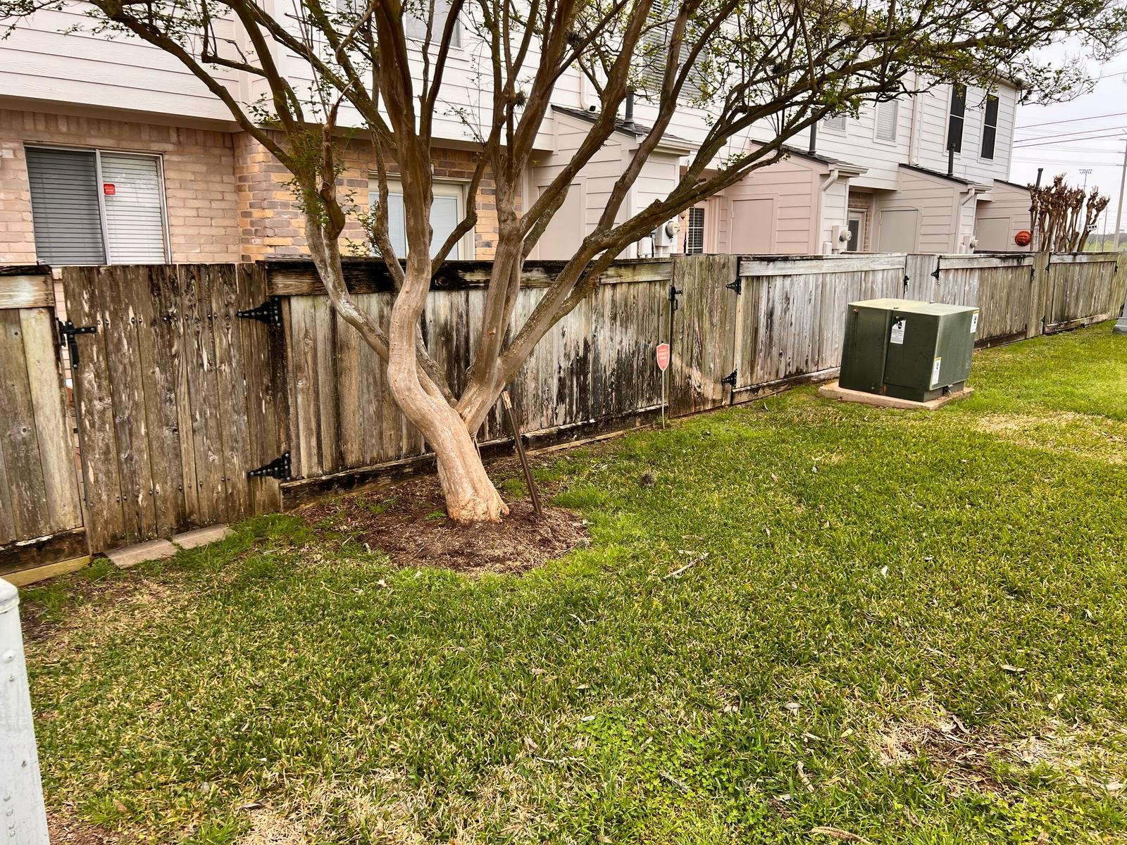 WhatsApp Image 2025-03-20 at 6.49.57 PM (5).jpeg