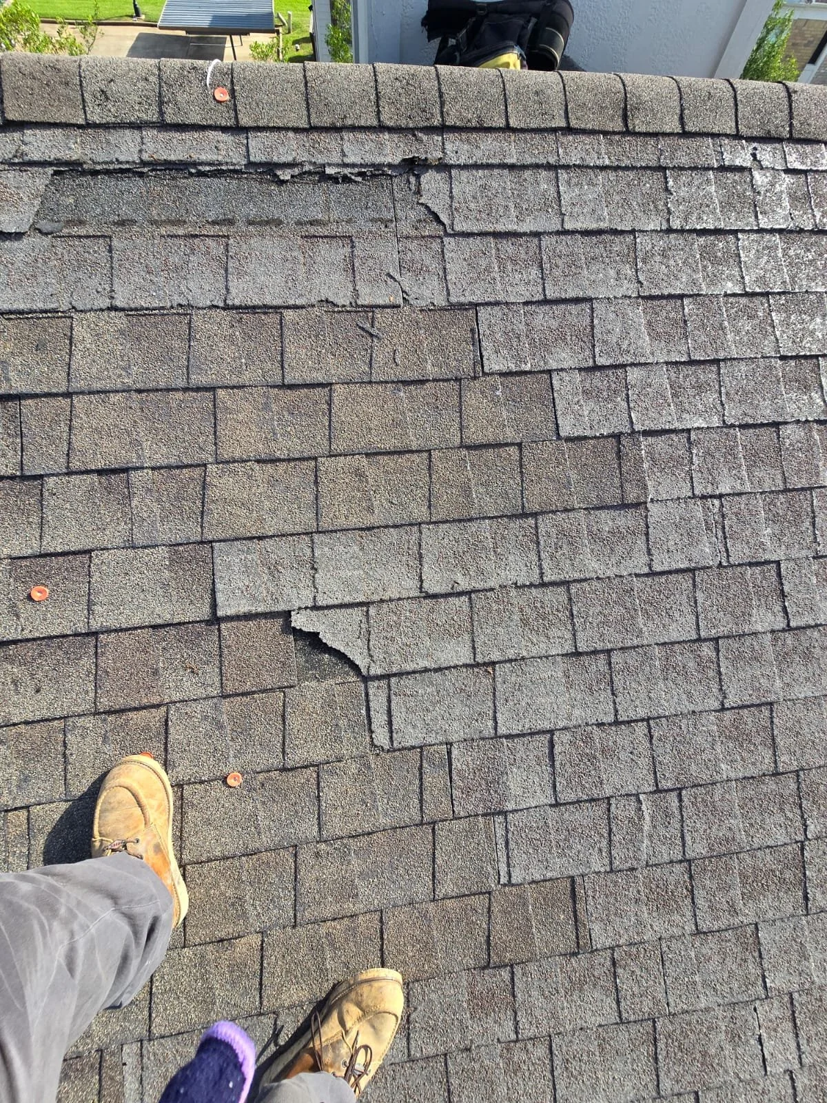 WhatsApp Image 2024-08-26 at 12.26.56 PM.jpeg