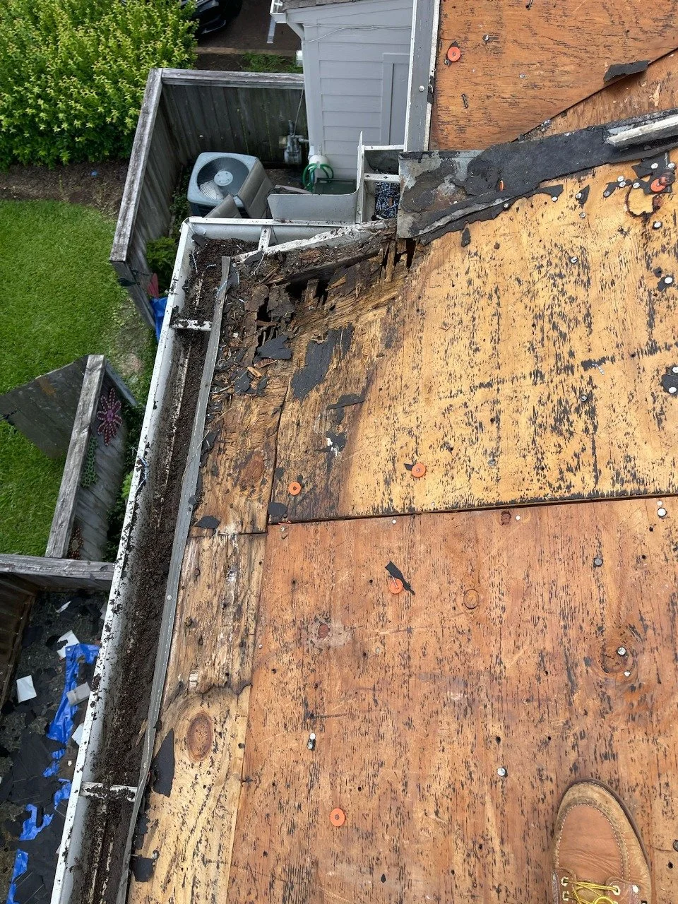 WhatsApp Image 2025-07-10 at 12.15.12 PM (1).jpeg