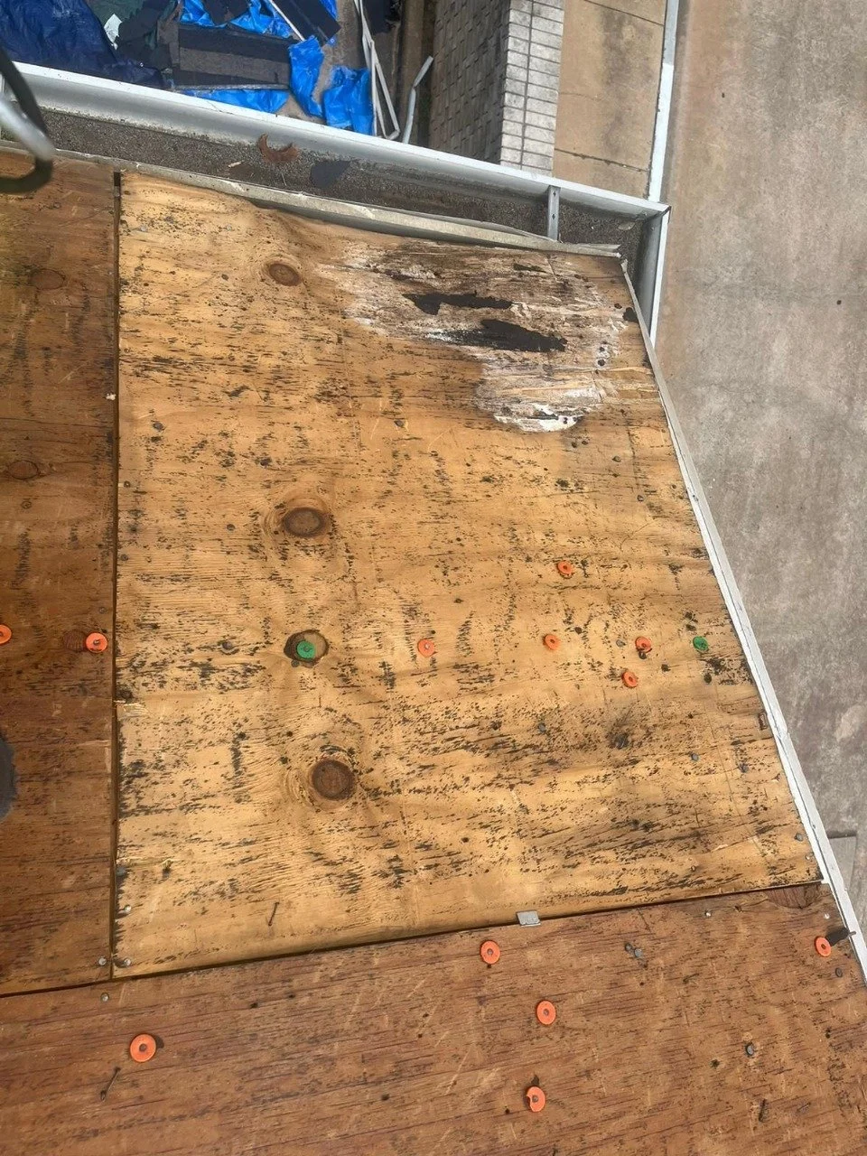 WhatsApp Image 2025-07-10 at 12.15.12 PM (2).jpeg