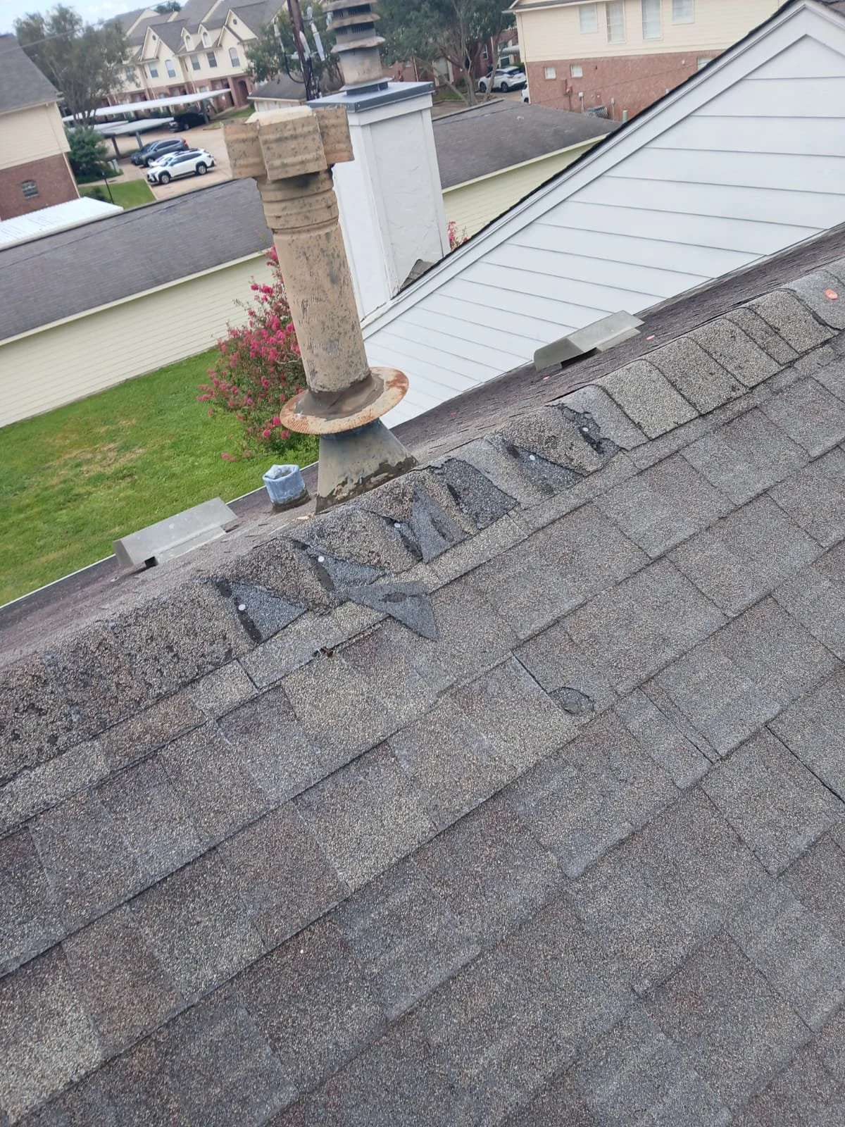 WhatsApp Image 2024-09-04 at 1.37.02 PM.jpeg