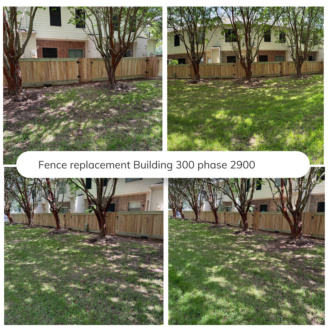 Comparison of backyard before and after fence replacement showing a new wooden fence and trees providing shade over grass.