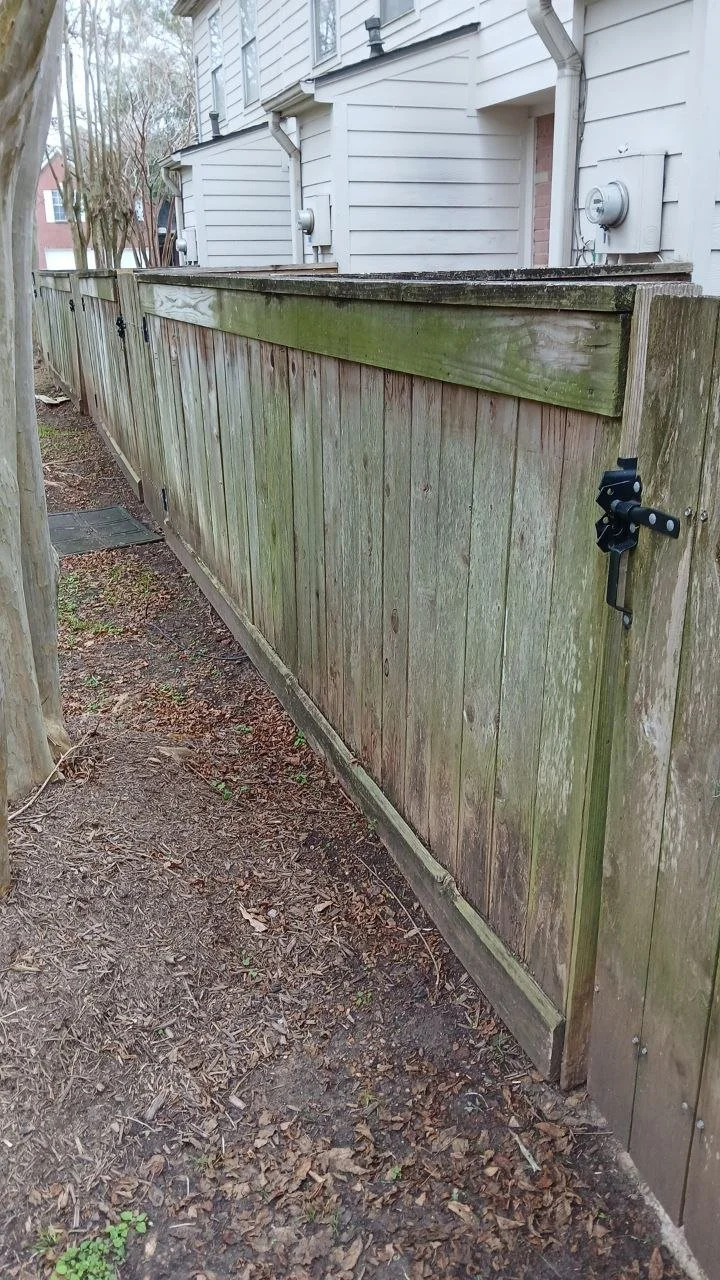 5019616416315321977 - copia.jpg