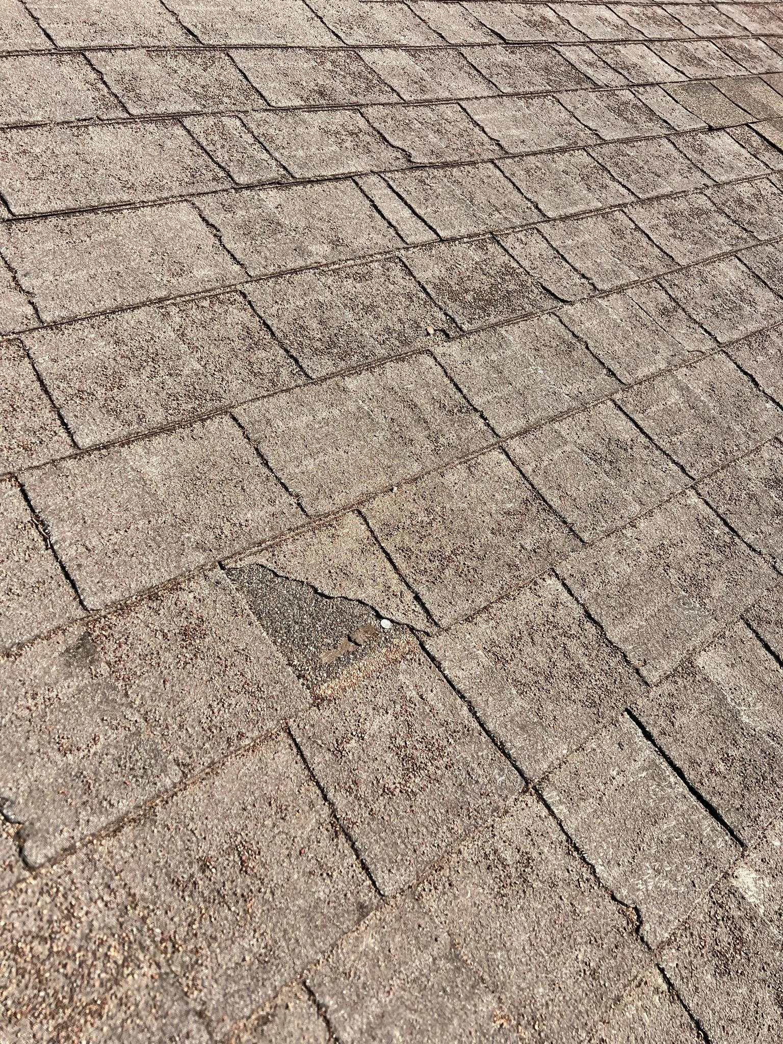 WhatsApp Image 2025-03-22 at 7.40.03 AM (6).jpeg