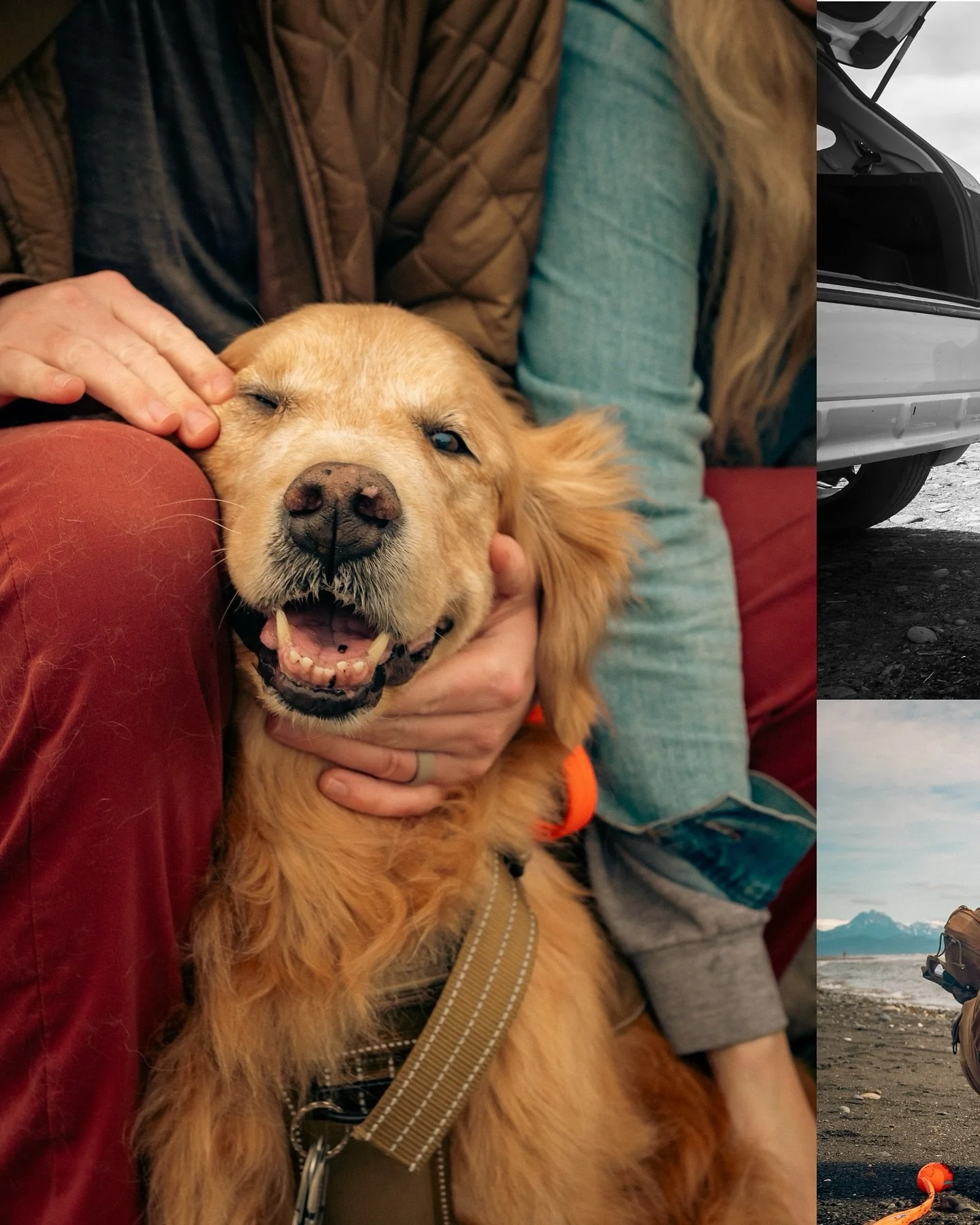 We now offer pet portraits and video for your best friend in any stage of life including #endoflifephotography 

Read all about it below:

Earlier this year Hazel was asked to go to Alaska to capture a very special lady, a dog named Arizona. 
Here&rs