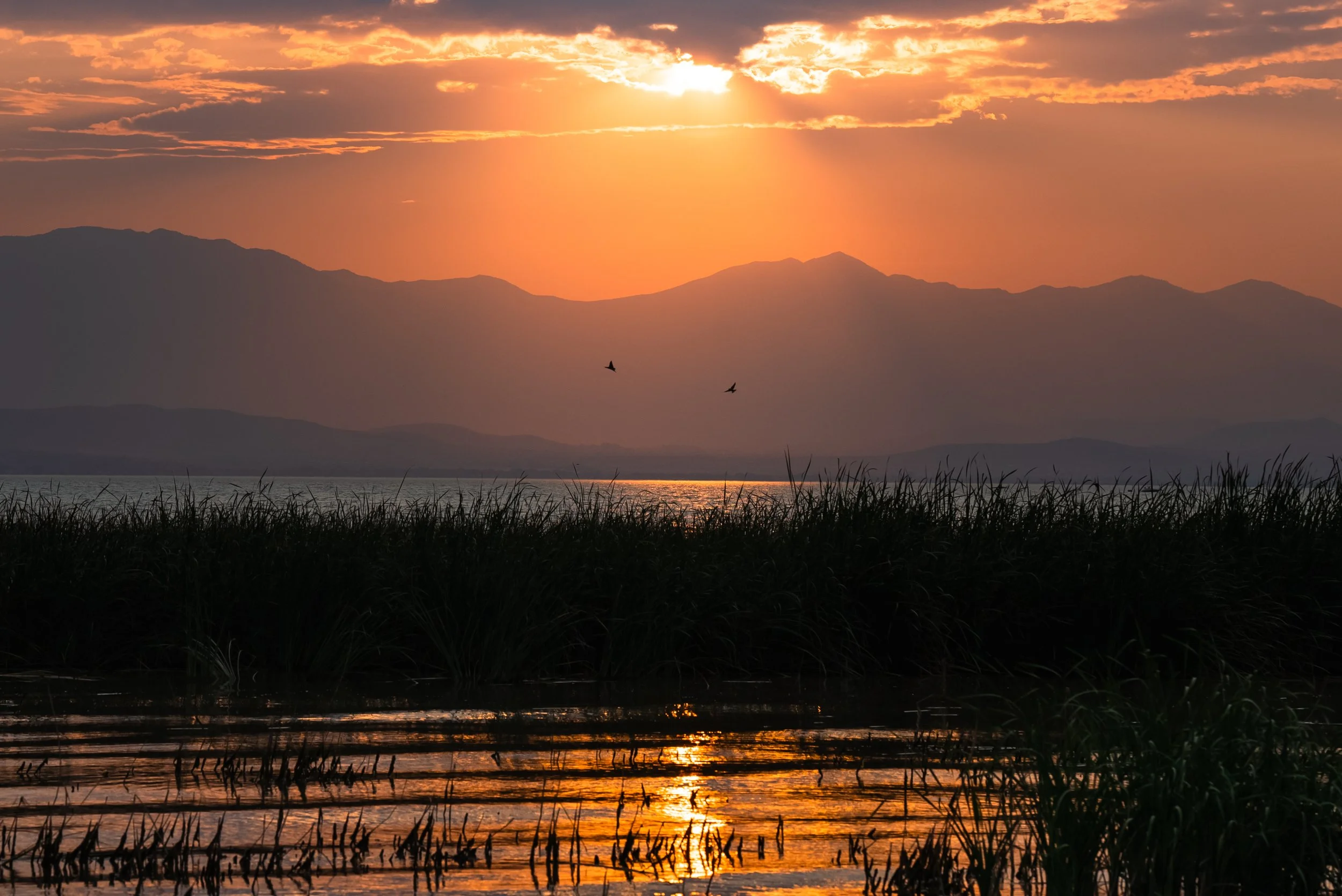 Utah lake at sunset with water, grasses and two birds flying in the distance with the sun just peaking through the clouds with a hazy Eagle Mountain behind.