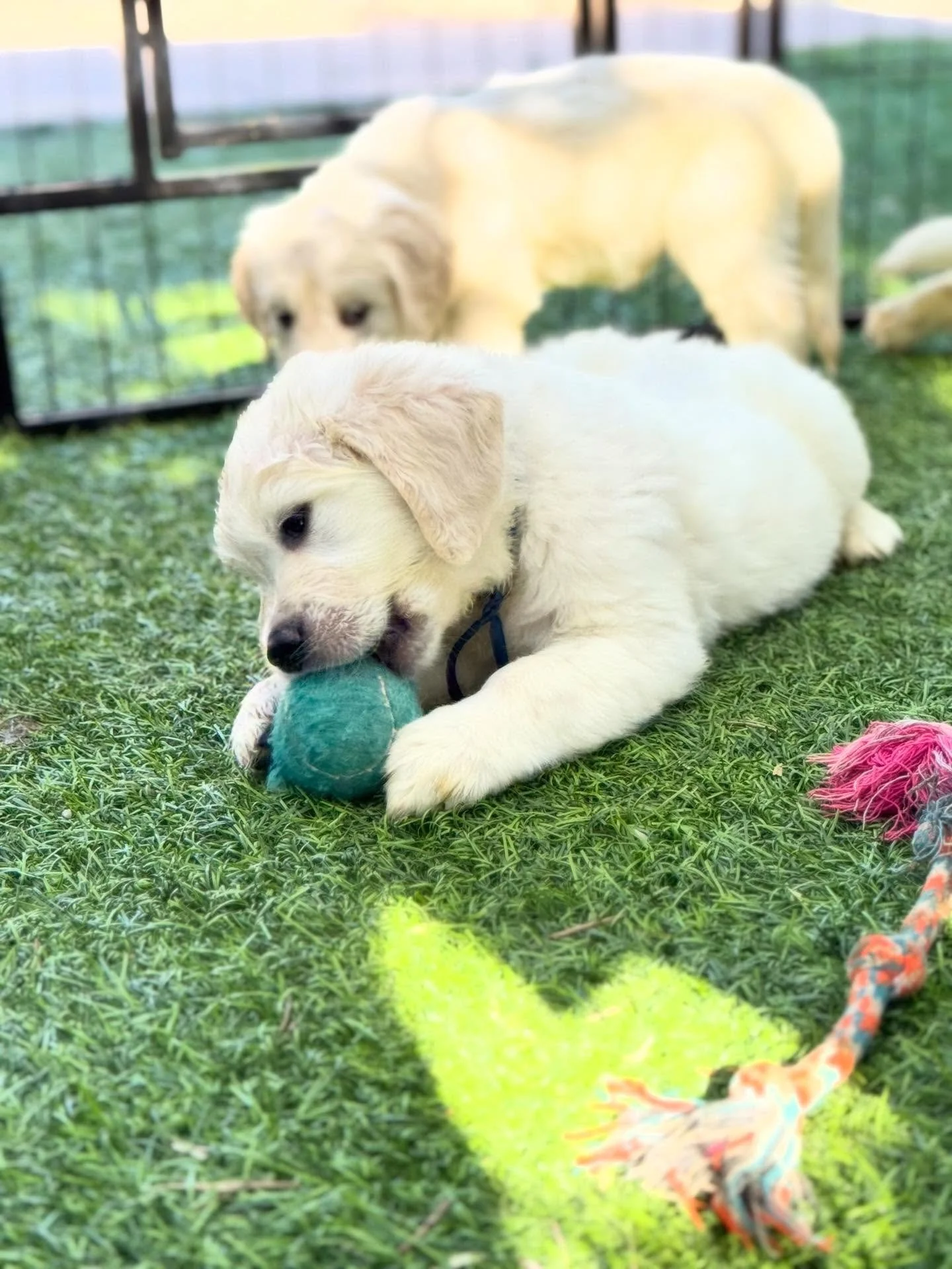 Beautiful day!! ☀️ 🎾