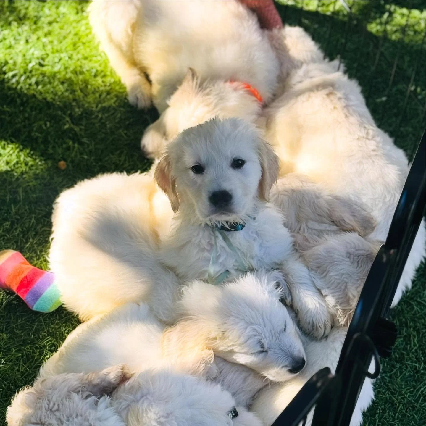 Good Morning! ☀️